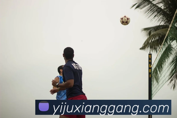 奖项证书